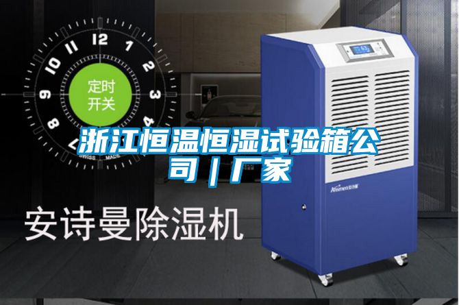浙江恒温恒湿试验箱公司｜厂家
