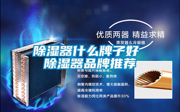 除湿器什么牌子好 除湿器品牌推荐