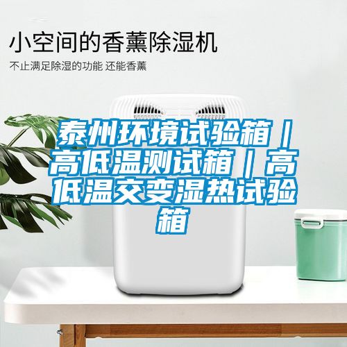 泰州环境试验箱｜高低温测试箱｜高低温交变湿热试验箱