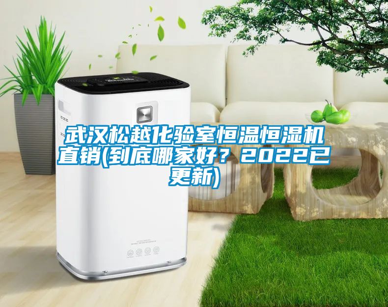 武汉松越化验室恒温恒湿机直销(到底哪家好？2022已更新)