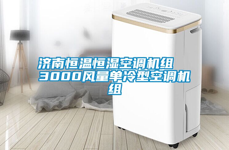 济南恒温恒湿空调机组  3000风量单冷型空调机组
