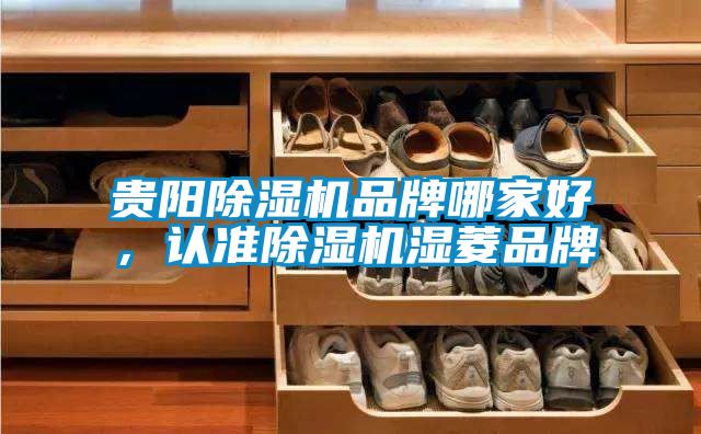 贵阳除湿机品牌哪家好，认准除湿机湿菱品牌