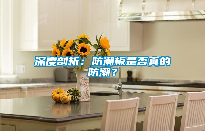 深度剖析：防潮板是否真的防潮？