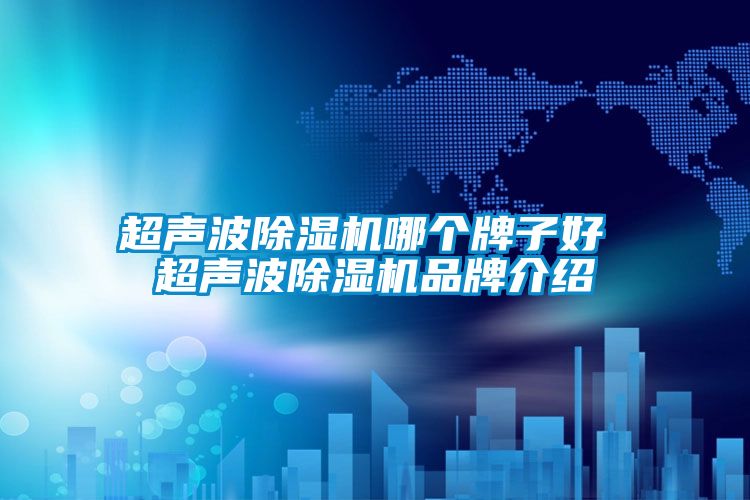 超声波除湿机哪个牌子好 超声波除湿机品牌介绍
