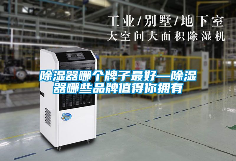 除湿器哪个牌子最好—除湿器哪些品牌值得你拥有