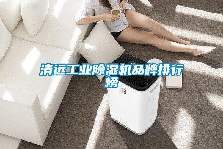 清远工业除湿机品牌排行榜