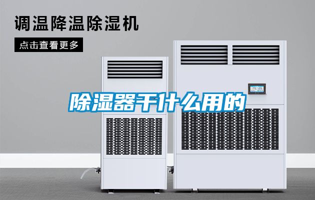 除湿器干什么用的