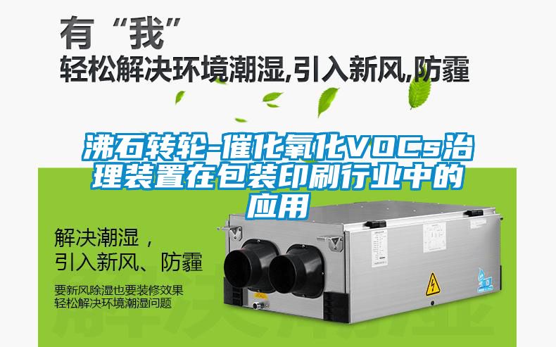 沸石转轮-催化氧化VOCs治理装置在包装印刷行业中的应用