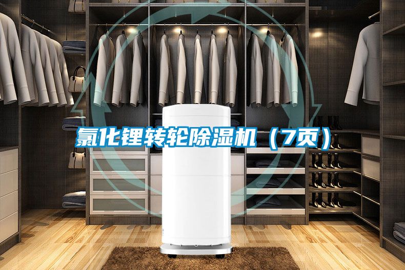 氯化锂转轮除湿机（7页）