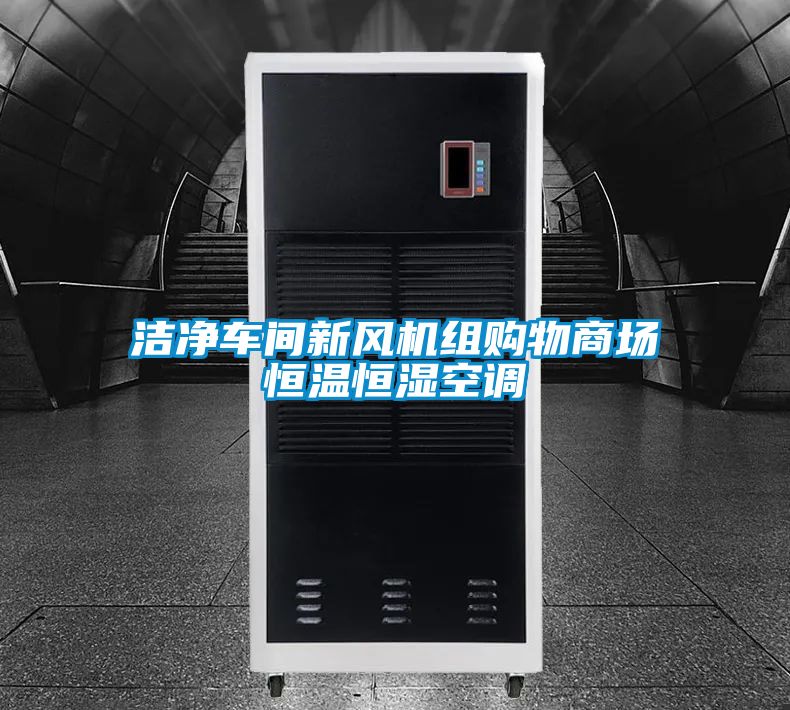 洁净车间新风机组购物商场恒温恒湿空调