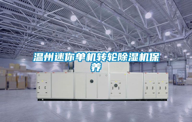 温州迷你单机转轮除湿机保养