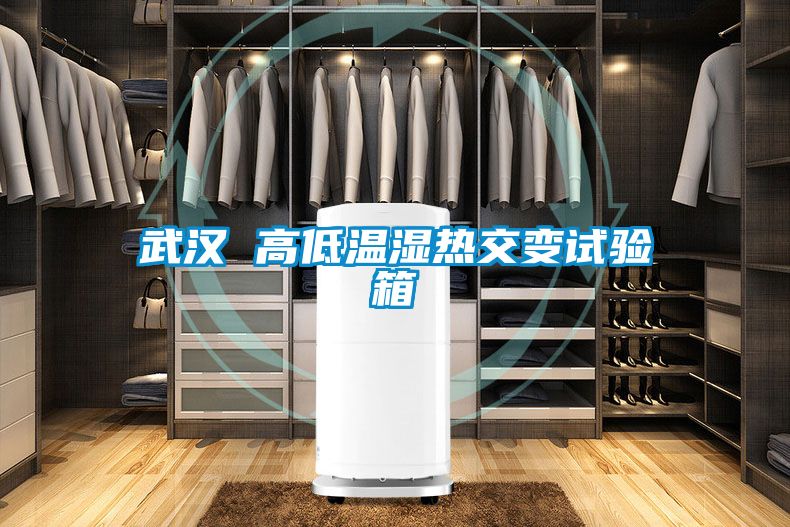 武汉 高低温湿热交变试验箱