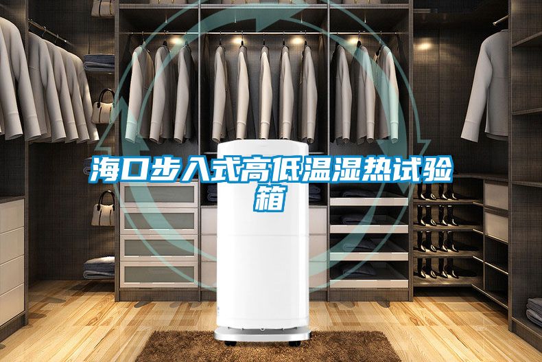 海口步入式高低温湿热试验箱