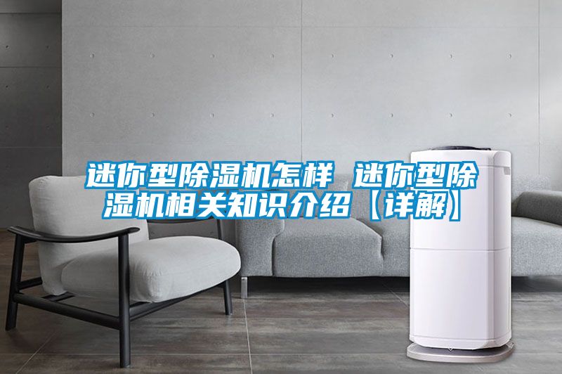 迷你型除湿机怎样 迷你型除湿机相关知识介绍【详解】