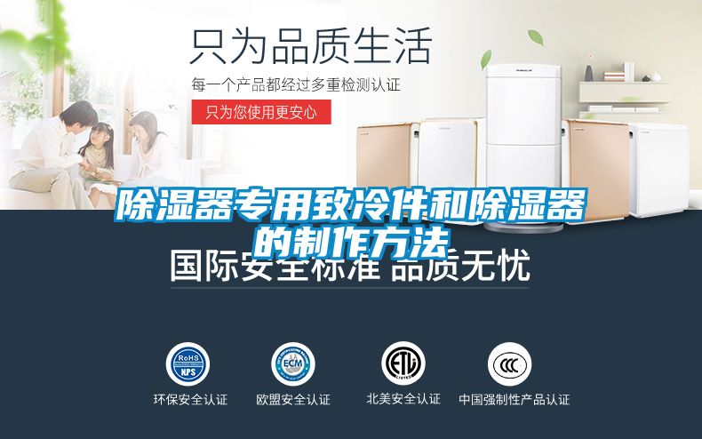 除湿器专用致冷件和除湿器的制作方法