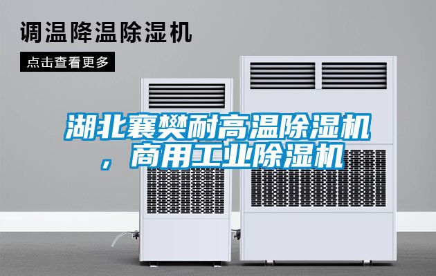 湖北襄樊耐高温除湿机，商用工业除湿机