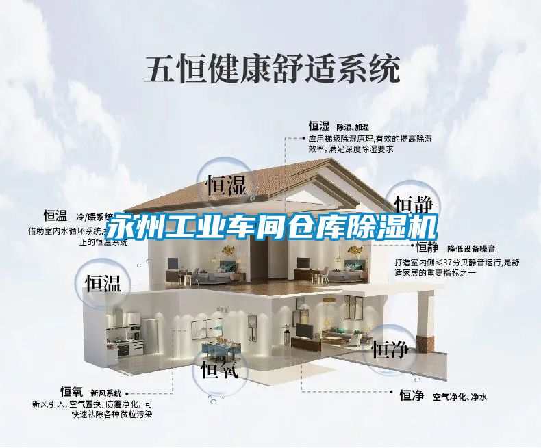 永州工业车间仓库除湿机