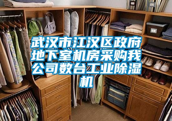 武汉市江汉区政府地下室机房采购我公司数台工业除湿机