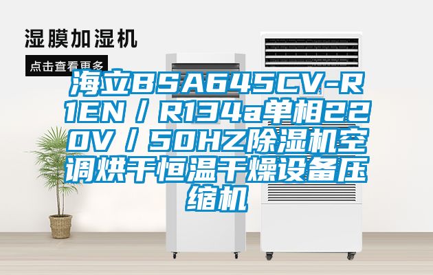 海立BSA645CV-R1EN／R134a单相220V／50HZ除湿机空调烘干恒温干燥设备压缩机