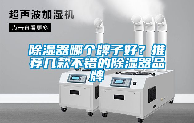 除湿器哪个牌子好？推荐几款不错的除湿器品牌