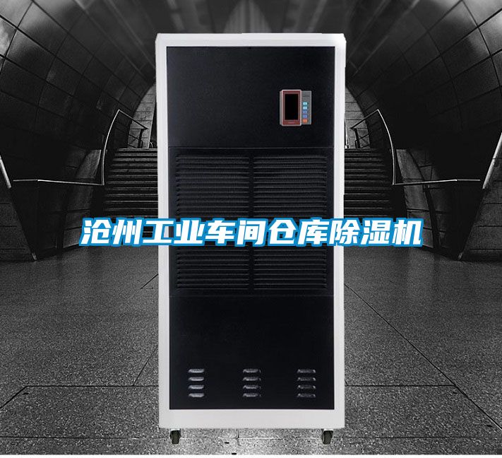 沧州工业车间仓库除湿机