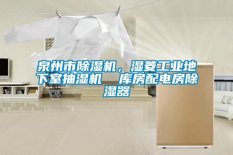 泉州市除湿机，湿菱工业地下室抽湿机  库房配电房除湿器