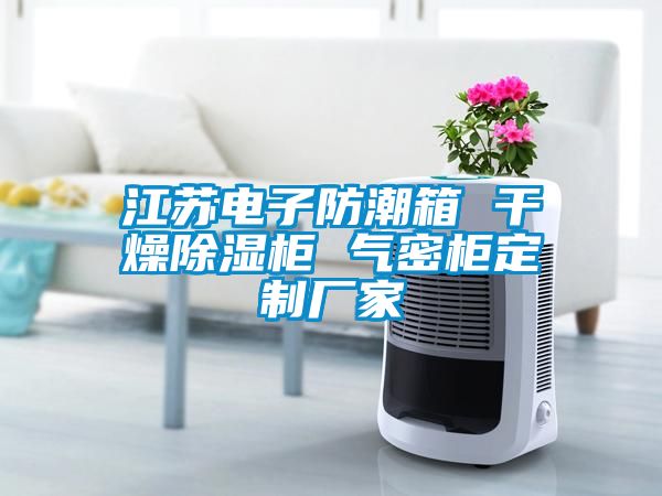 江苏电子防潮箱 干燥除湿柜 气密柜定制厂家