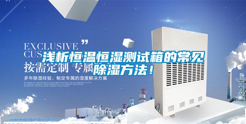 浅析恒温恒湿测试箱的常见除湿方法！