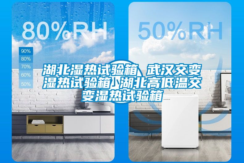湖北湿热试验箱 武汉交变湿热试验箱 湖北高低温交变湿热试验箱