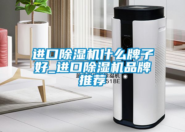 进口除湿机什么牌子好_进口除湿机品牌推荐