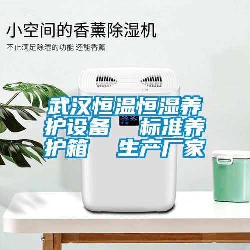 武汉恒温恒湿养护设备  标准养护箱  生产厂家