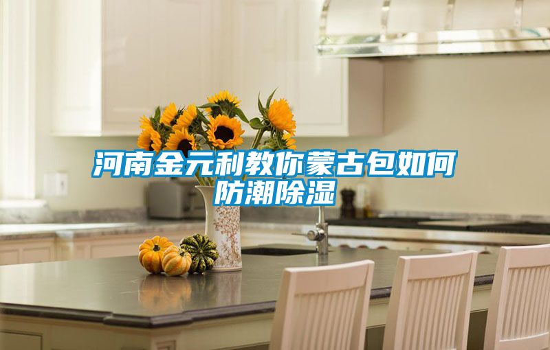 河南金元利教你蒙古包如何防潮除湿