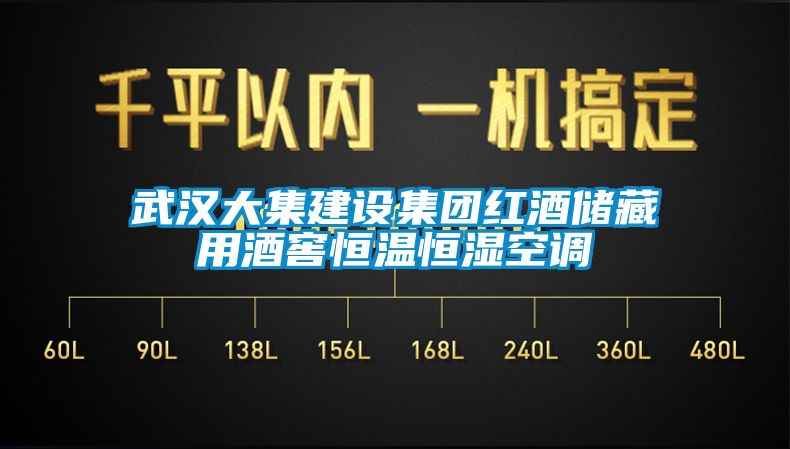 武汉大集建设集团红酒储藏用酒窖恒温恒湿空调