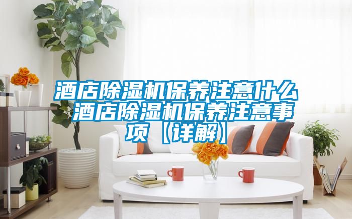 酒店除湿机保养注意什么 酒店除湿机保养注意事项【详解】