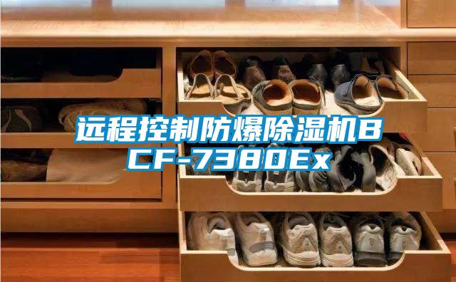 远程控制防爆除湿机BCF-7380Ex