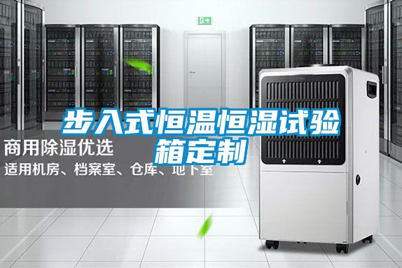 步入式恒温恒湿试验箱定制