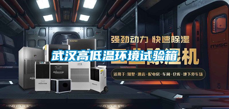 武汉高低温环境试验箱