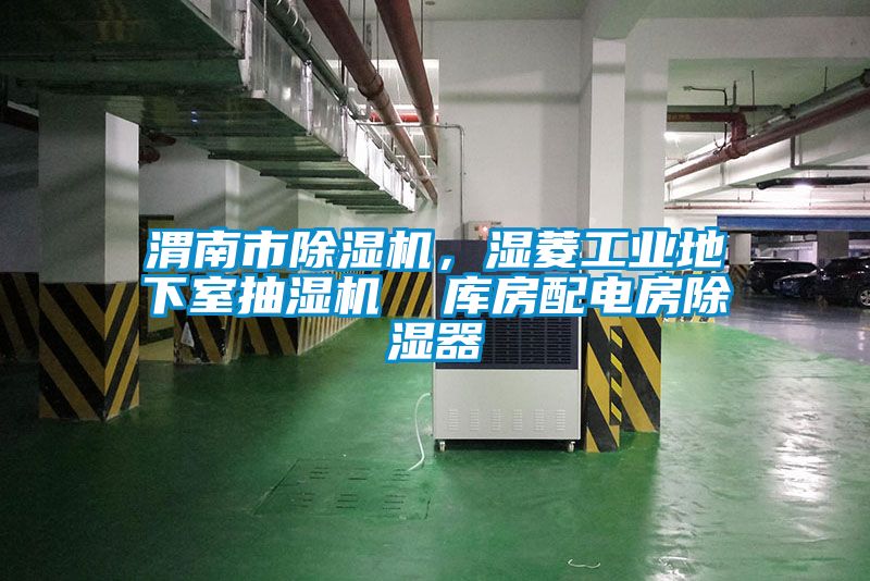 渭南市除湿机，湿菱工业地下室抽湿机  库房配电房除湿器