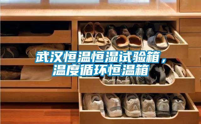 武汉恒温恒湿试验箱，温度循环恒温箱