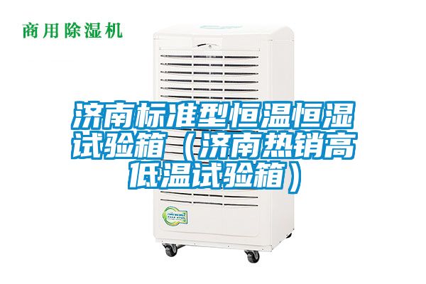 济南标准型恒温恒湿试验箱（济南热销高低温试验箱）