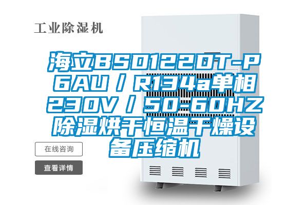 海立BSD122DT-P6AU／R134a单相230V／50-60HZ除湿烘干恒温干燥设备压缩机