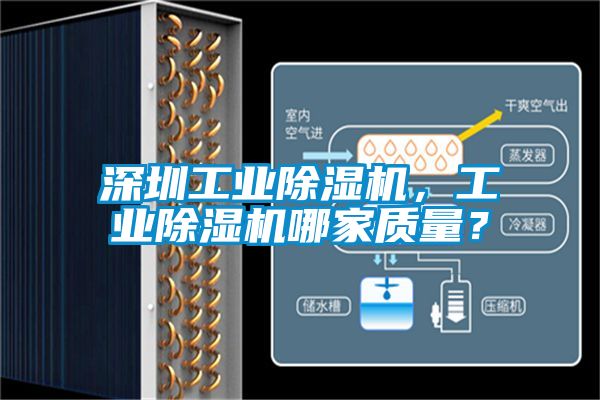 深圳工业除湿机，工业除湿机哪家质量？