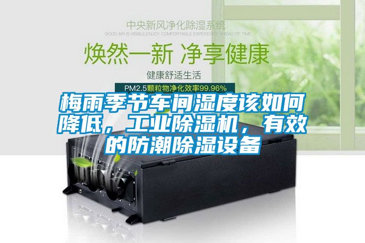 梅雨季节车间湿度该如何降低，工业除湿机，有效的防潮除湿设备