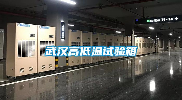 武汉高低温试验箱