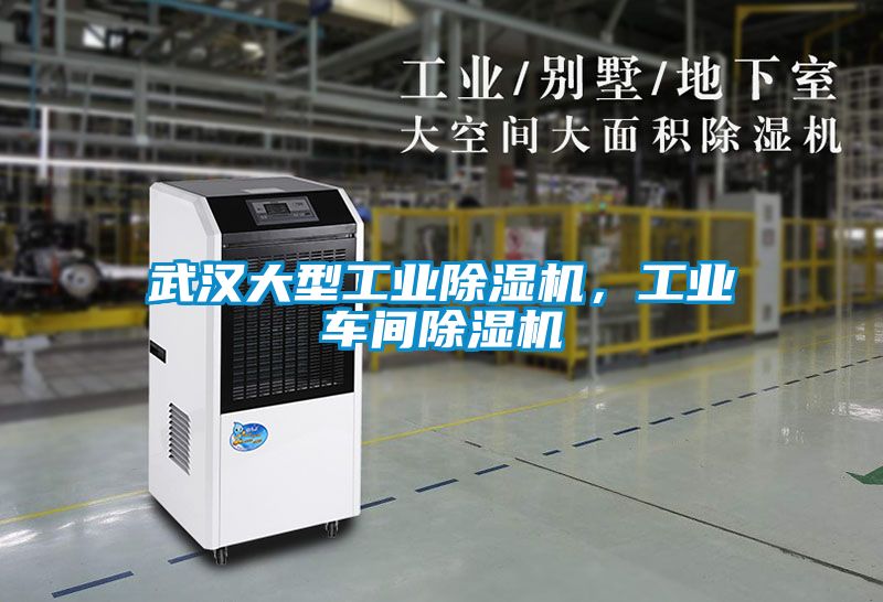 武汉大型工业除湿机，工业车间除湿机