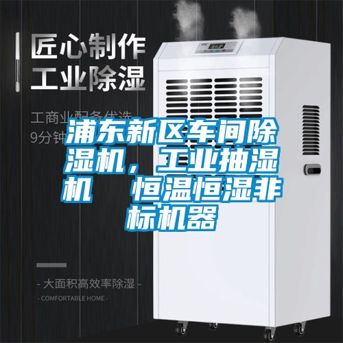 浦东新区车间除湿机，工业抽湿机  恒温恒湿非标机器