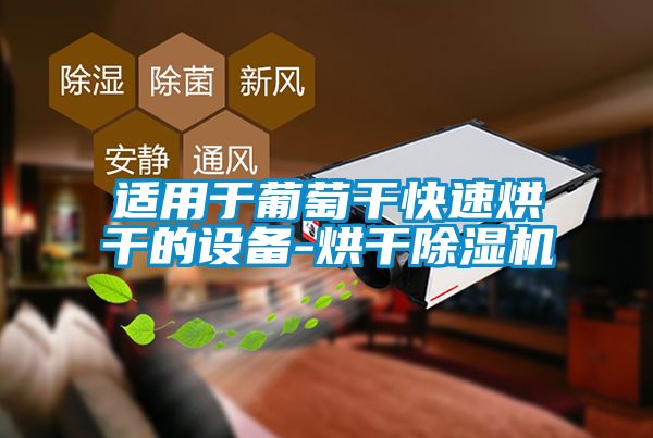 适用于葡萄干快速烘干的设备-烘干除湿机