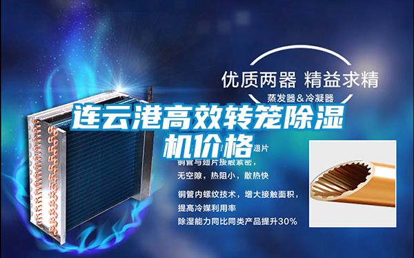 连云港高效转笼除湿机价格