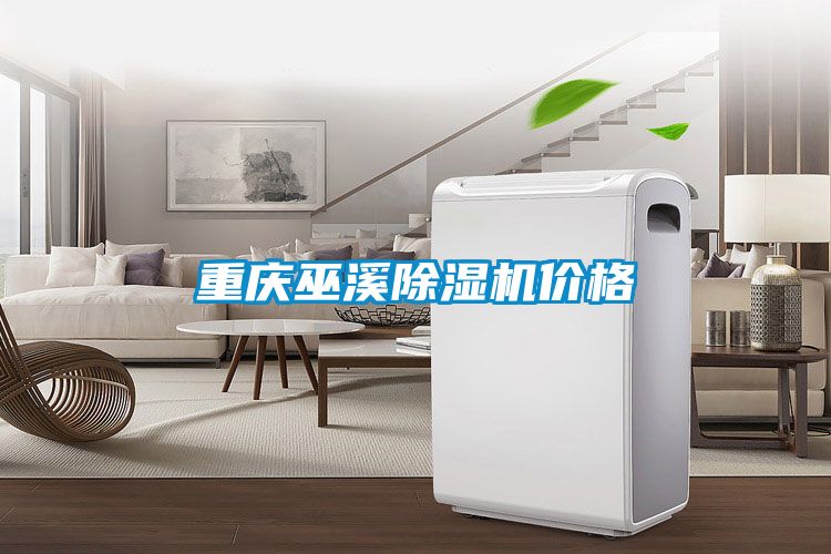 重庆巫溪除湿机价格