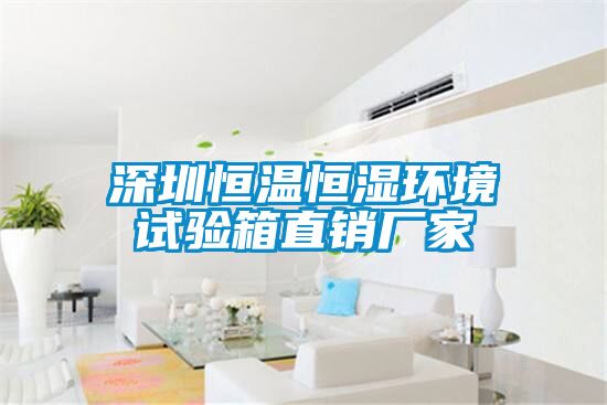 深圳恒温恒湿环境试验箱直销厂家